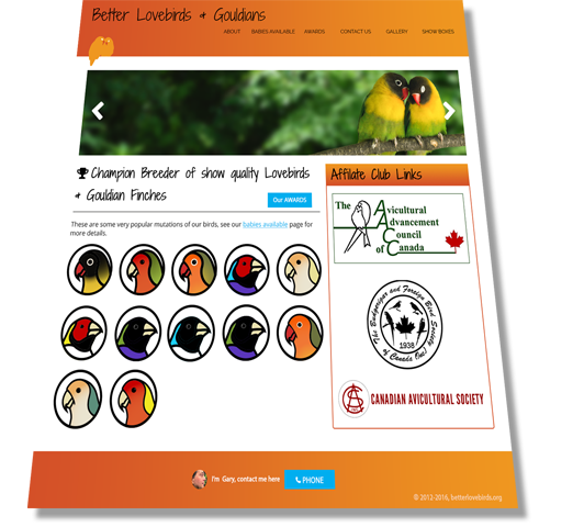 Website homepage